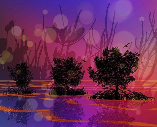 Magical Mangroves Tropical Sunset Paints The Sky by Joan Stratton - https://paintingsbyjoan.com/

What do you feel when you look out to the sea? I feel it calling, calling me...

Silhouetted mangrove trees stand in vibrant, colorful waters reflecting a mesmerizing sunset sky. The background features soft circular bokeh lights and birds flying amidst the serene atmosphere.

Ether Art – A hand-drawn drawing / painting using the exciting modern art form, where art is created from scratch using a computer in lieu of a real canvas and paint, water colour, pastel, pencil, charcoal etc I create digital art from the ether, exactly the same as if I was starting with a blank canvas.