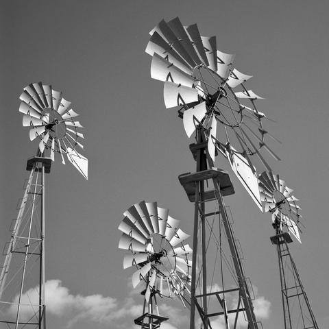 A black and white film photo. Four very old windmills stand tall in the sky at the American Windmill Museum in Lubbock, Texas. Saturday, February 15, 2025.