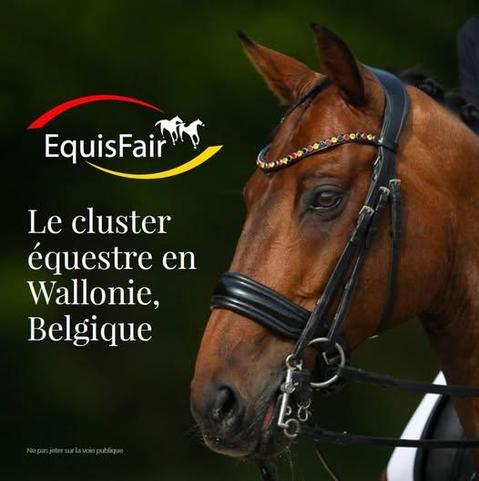 Brochure pour passionné de chevaux, professionnel du secteur équin https://clusters.wallonie.be/equisfair/sites/equisfair/files/2025-02/BROCHURE%202025%20%282%29.pdf ! 