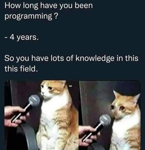 A cat being interviewed. The text says, "How long have you been programming? - 4 years. So you have lots of knowledge in this field." The second image shows the cat looking nervous and unsure.
