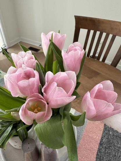 Pink tulips on a kitchen table 