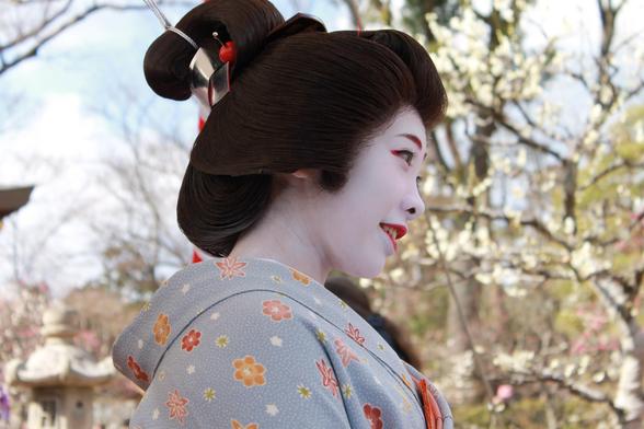 Maiko and geiko mingle with guests during Baika-sai.