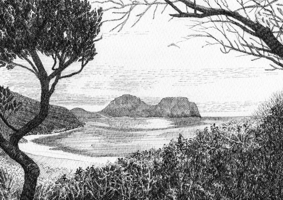 Pentekening van Lord Howe Island door Jacques Grégoire
