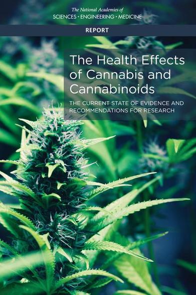 CannabisWissen Februar 2025 Artikel von 2017 Cannabis-Pflanze und Beschreibung der heilenden therapeutischen Möglichkeiten