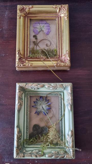 English 2 mini frames, one above the other. The one above is golden, with flowers and moss on top, relatively set but waiting. The flower is predominantly violet. The one below is water-green. It too has plants on it, but the main flower is bluer.
•
Français 2 mini cadres l'un au-dessus de l'autre. Celui du dessus est doré et des fleurs et de la mousse sont posés dessus, relativement mis en place mais en attente. La fleur est à dominante violette. Celui du dessous est couleur vert d'eau. Il a lui aussi des plantes posées dessus mais la fleur principale est plus bleutée.