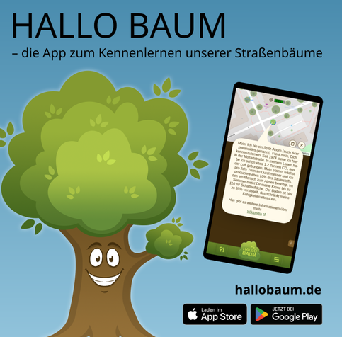 Hallo Baum Sujet
