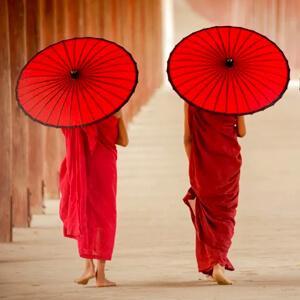 Explore the science behind colour perception and its application in design. By grasping the fundamentals of colour theory, including the roles of primary, secondary, and tertiary colours, you can create harmonious and aesthetically pleasing visuals that effectively communicate your intended message.