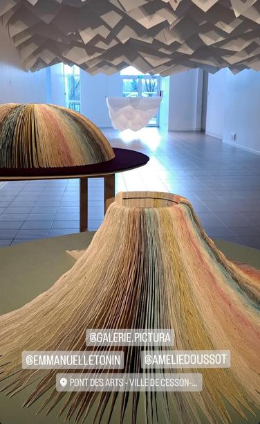 Livre-objet Amélie Doussot