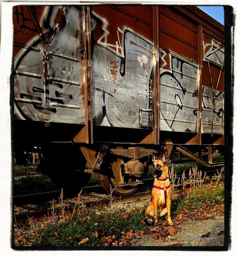 She understands only train station