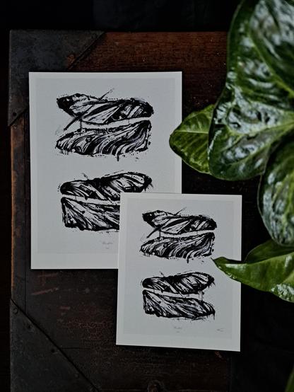 Two art prints of painted black and white dragonfly wings