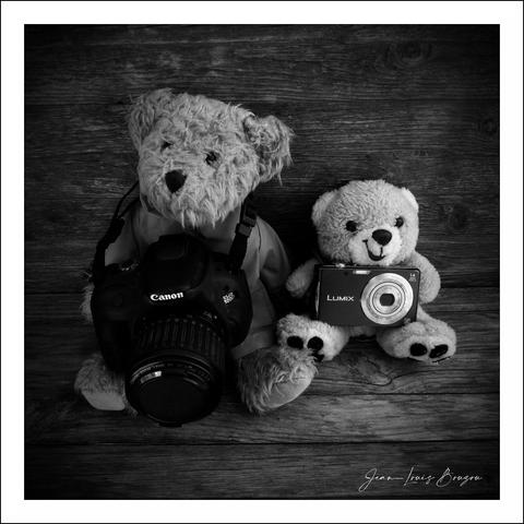 The image showcases two plush teddy bears displayed side by side against a rustic wooden backdrop, creating a charming and whimsical scene. The larger bear, dressed casually, cradles a sophisticated Canon camera, hinting at a sense of adventure and creativity. In contrast, the smaller bear holds a compact Panasonic Lumix camera, suggesting a playful and perhaps more casual approach to photography.
The monochromatic treatment of the image enhances its nostalgic feel, allowing the textures of the fur and the details on the cameras to stand out. This contrasts enriches the overall composition, inviting viewers to appreciate the blend of childhood innocence and artistic expression.
Interpreting this scene, one might reflect on the joyful curiosity of exploring photography, as embodied by these two bears. They may symbolize how anyone, regardless of age or experience, can engage with the art of capturing moments. It's an endearing reminder of the magic found in both childhood and creative pursuits.

