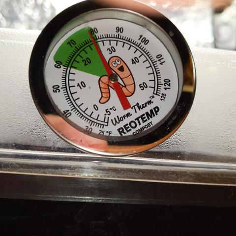 A square cropped closeup photo of the thermomter. It says "Worm Therm tm REOTEMP COMPOST" and has the 10 segmented worm cartoon in the middle. The thermometer reads in Fahrenheit on the outside scale and Celsius on the inside scale. It ranges from 25F to 125F, or -5C to 52C. It is reading 26C or 78F in this photo.