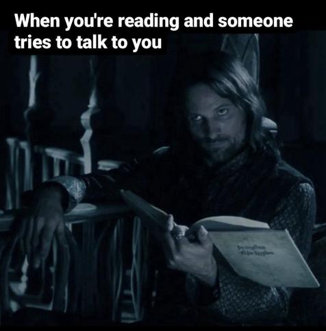 Meme that says 'When you're reading and someone tries to talk to you.'