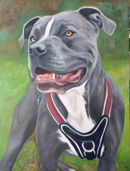 a painting of a grey pitbull, standing in a three quarter view, facing the viewer, it is looking up and to the right, a harness on it, green grass and trees behind it, many sections unfinished and still blurry and undefined 