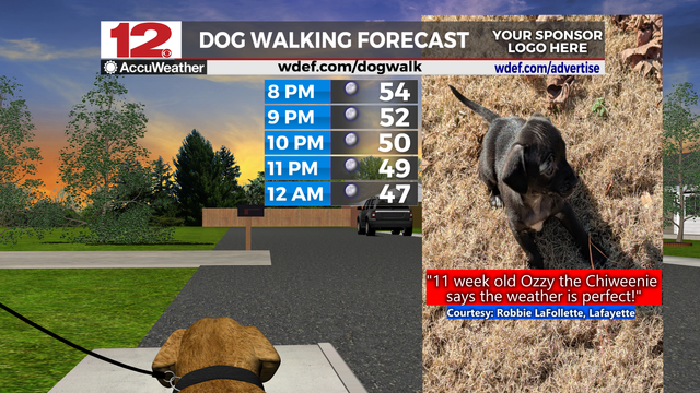 Thanks to @WDEFNews12 viewer Robbie LaFollette of Lafayette for a view of 11 week old #Chiweenie Ozzy, Thursday's #DogWalkingForecast Pupper Picture of the day. Submit yours at wdef.com/dogwalk

[[Dog Walking Forecast, WDEF Dog Walking Forecast, Pupper Pix, Pupper Picture Of The Day, Dog Walking Pictures, Daily Pupper Pictures, Daily Dog Snapshot]]