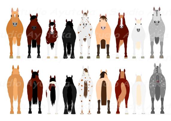 a clip art bundle of horses standing in a row, from front and from behind.