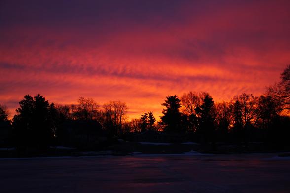 Sunrise photo of a yellow and purple sky over a frozen lake with bare trees in silhouette.