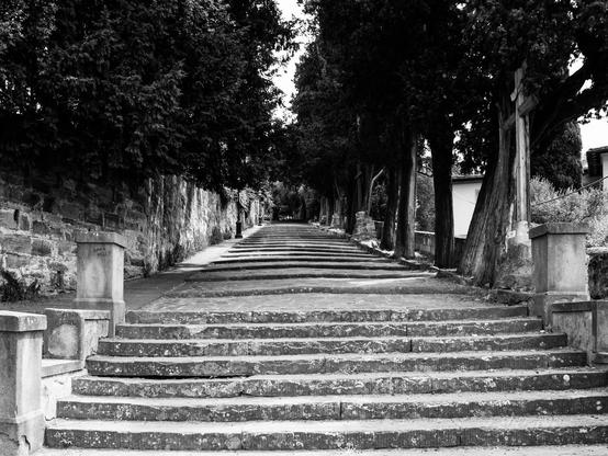 Un escalier interminable qui monte au milieu d'arbres.