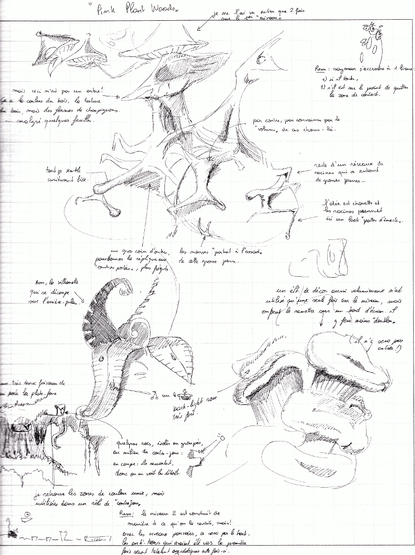art study of the woods