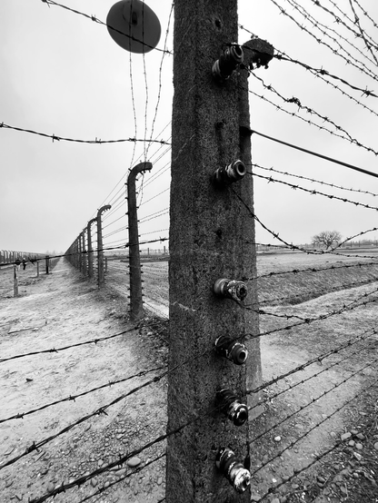 Auschwitz-Birkenau - Stachedraht