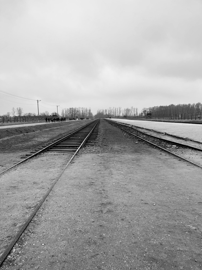 Auschwitz-Birkenau - Gleise