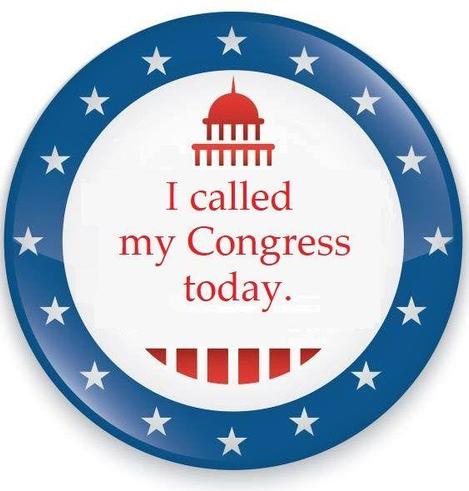 Red white & blue badge  (red stylized Capitol Hill building, surrounded by a blue border with white stars) that reads "I called my Congress today."