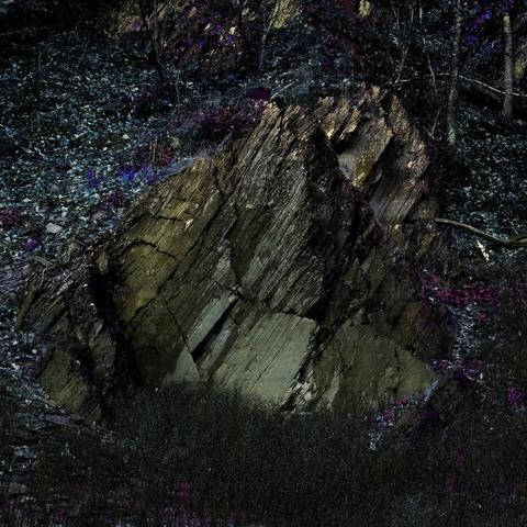 Un rocher mi-schiste, mi-charbon émerge de la végétation à flanc de colline. C'est sans doute la nuit et les couleurs désaturées tendent vers le violet comme dans un rêve. Sombre et beau à la fois. Le visuel est de Stéphane Jossart .