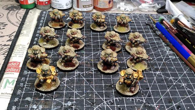 14 finished Steel Warriors from the Warpath Starter Set