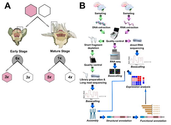 Experimental design and workflow. Figure reference: https://doi.org/10.1101/2024.06.15.599162