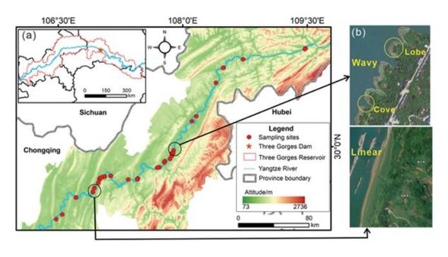 (a) Study area and distribution of sampling sites. (b) Forms of riverbank
