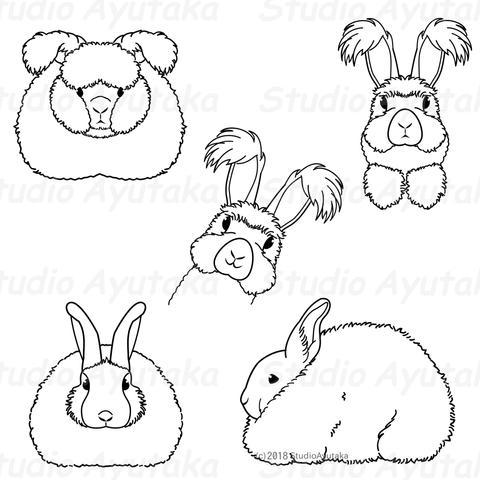 a clip art bundle of 2 breeds of Angora rabbit.