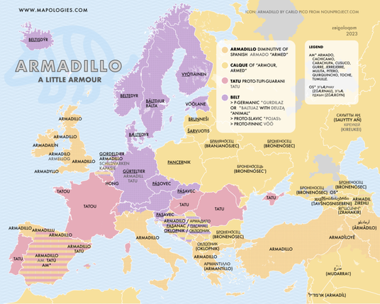 a map of armadillos in different languages