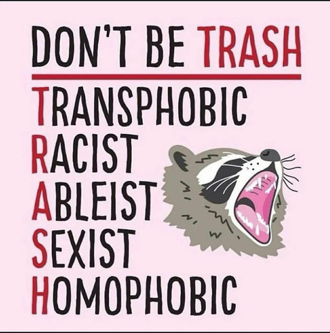The text “Don’t be TRASH Transphobic Racist Ableist Sexist Homophobic”. Next to the text is a screaming raccoon. The background is pink.