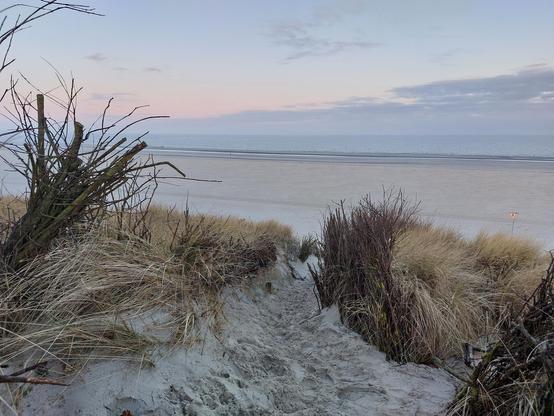 Ausblick von einer Düne hinunter zum Strand und weit entfernten Wasser