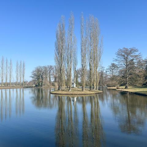 Frühling im Wörlitzer Park