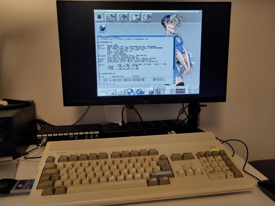 Amiga 1200 with an ACA1260 accelerator fitted working, booted into Workbench. It's running ListExp tool from the Identify.library package, showing the properties of the system and the accelerator.