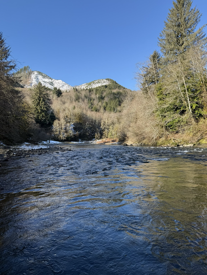 Pacific Northwest Costal River with trees and snow peaks in the background 