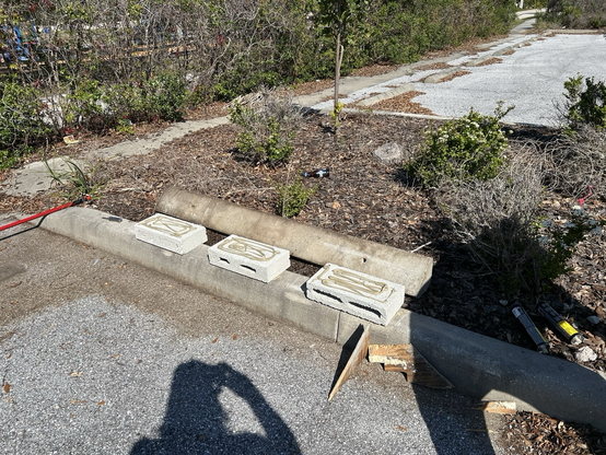 A landscape bed with curbs, blocks, and adhesive 