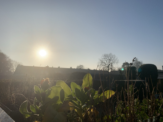 Sun shining brightly earlier today 