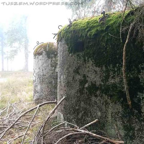 Czech bunker "Lehký objekt vzor 37" in Sudeten