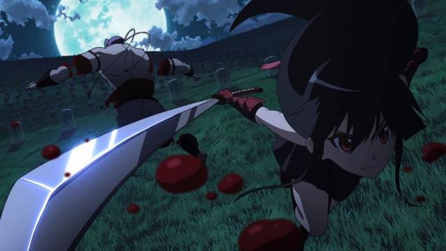 Akame vs Libara Fight