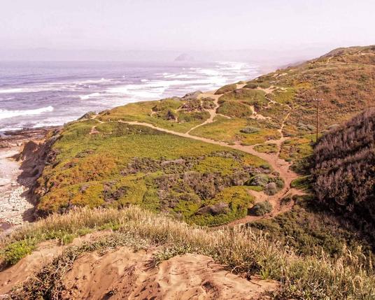 In the immediate foreground a patch of sand and grass and below that a meadow lower down on top of a cliff to the left and top and breaking waves beyond.  A sandy trail bifurcates like a river as it approaches the cliff and to the center right a hill covered with shrubs rises up.