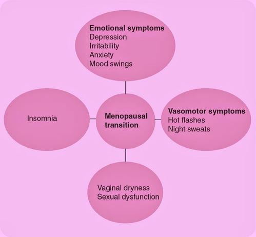 Say goodbye to menopause mood swings with MenoPaused supplements, your natural ally in navigating the emotional ups and downs of menopause.