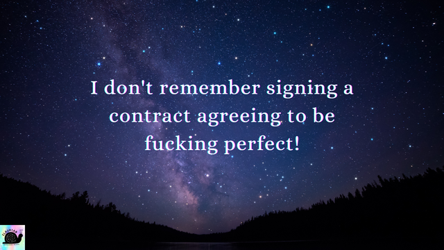 A starry night sky background, with the silhouette of trees on hills at the bottom. In white writing in the sky it reads:
"I don't remember signing a contract agreeing to be fucking perfect!"