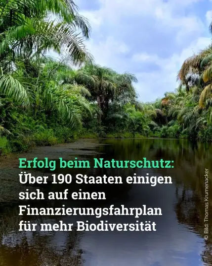 Ein dunkler Fluss, eingerahmt von dichtem Regenwald. Dazu der Text: Erfolg beim Naturschutz: Über 190 Staaten einigen sich auf einen Finanzierungsfahrplan für mehr Biodiversität