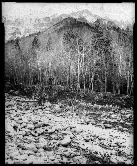 #trees #riverbed
#mountains
#forests
#mountainslovers
#filmisnotdead
#blackandwhitephotography
#largeformatphotography
#4x5
#directpaper
#papernegative
