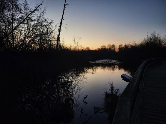 Sonnenaufgang hinter dem Tegeler Fließ 