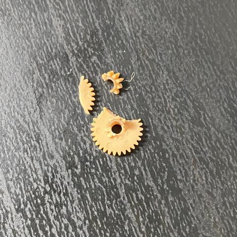 The same gear, destroyed upon an attempt to remove it from the mechanism 