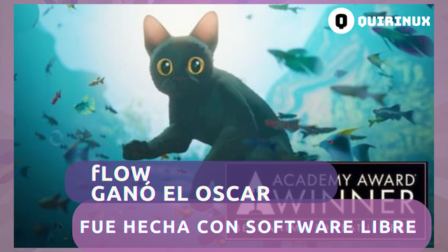 Flow, largometraje animado sin diálogos, gana el Oscar. Fue hecho con Blender, software opensource (libre y de código abierto).