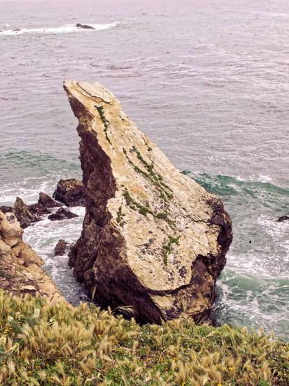 This photo was shot from the top of the bluff so from the bottom left there is a thin strip of grass,  then below that the ocean out of which a huge rock rises with a broad base that comes to a sharp point towards the upper left